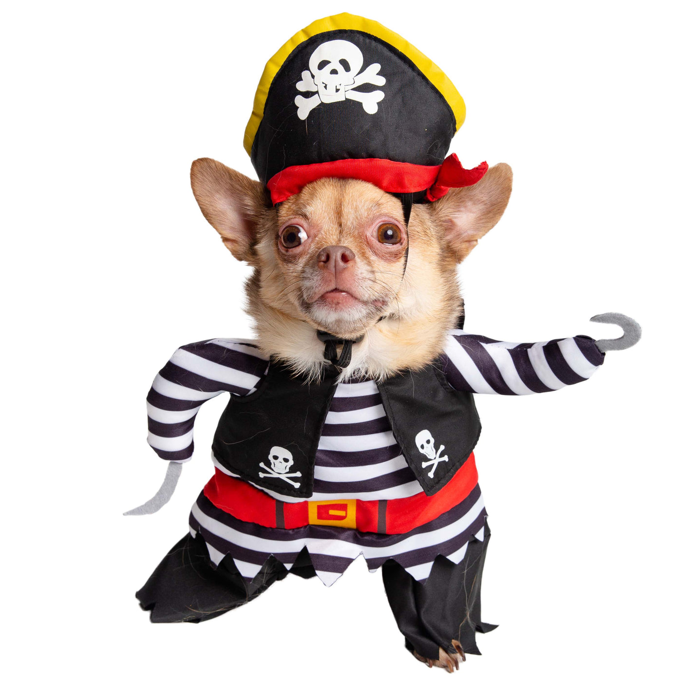 Pirate Dog Costume - Costumes Posh Puppy Boutique
